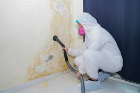 Best Comprehensive Air Testing for Mold Contaminants  in Garden Acres, CA